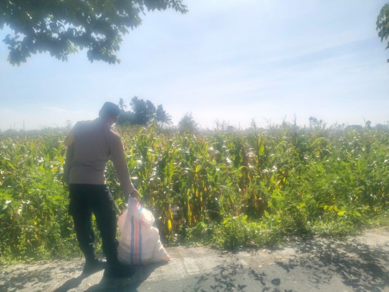 Jagung Lelede Panen Raya, Polri Pastikan Proses Aman dan Harga Stabil