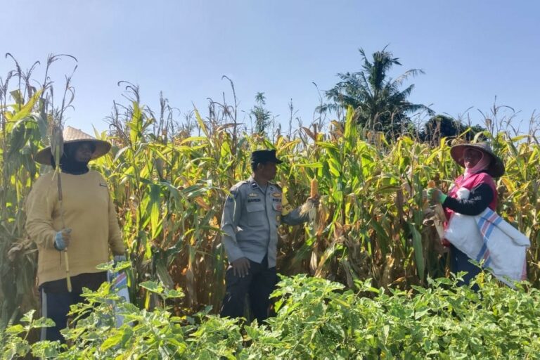 WhatsApp Image 2025-11-10 at 16.03.06