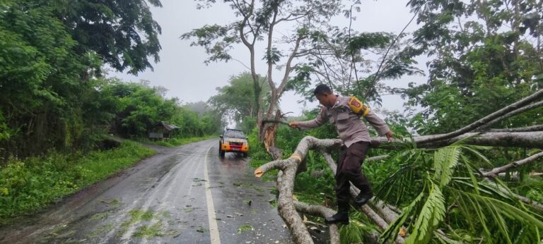 WhatsApp Image 2025-11-11 at 08.58.10