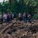 WhatsApp Image 2025-11-12 at 08.36.09