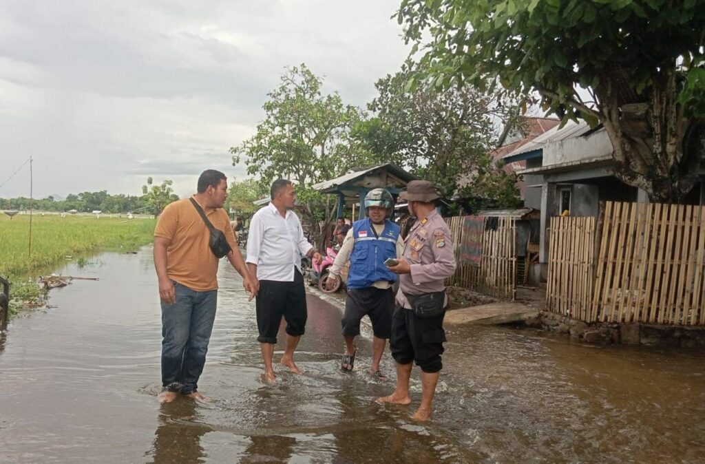 WhatsApp Image 2025-11-12 at 08.36.12