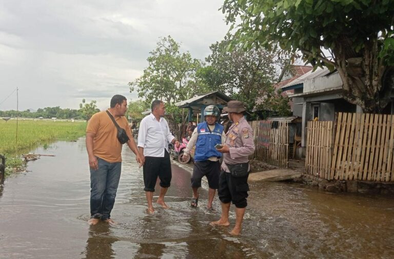 WhatsApp Image 2025-11-12 at 08.36.12