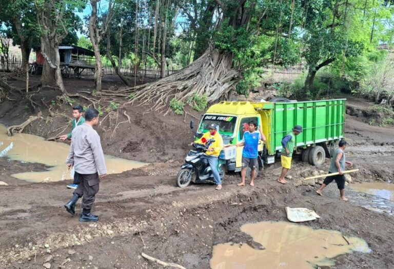 WhatsApp Image 2025-11-13 at 07.56.36