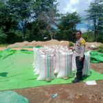 WhatsApp Image 2025-11-13 at 19.58.45