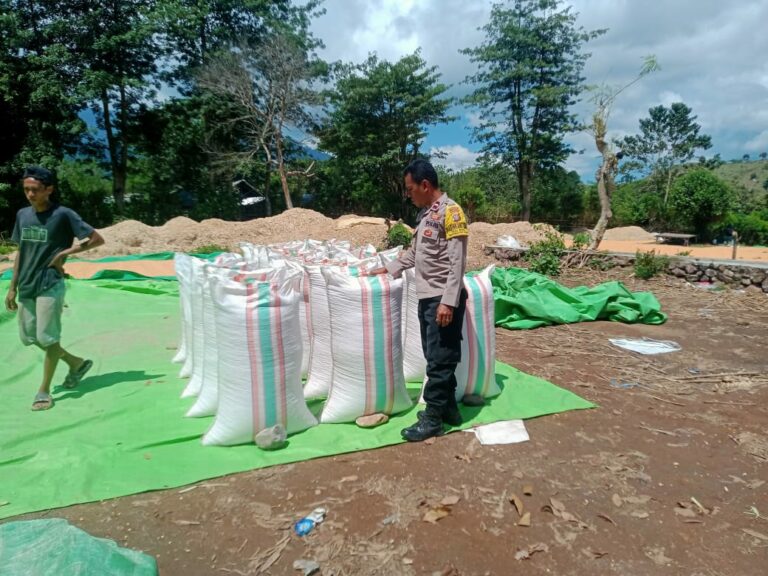 WhatsApp Image 2025-11-13 at 19.58.46