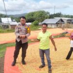 WhatsApp Image 2025-11-14 at 16.35.36