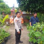 WhatsApp Image 2025-11-17 at 14.32.25_ba70b0c1