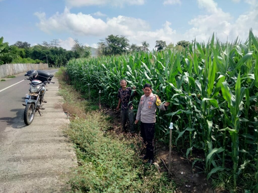 WhatsApp Image 2025-11-17 at 19.11.40