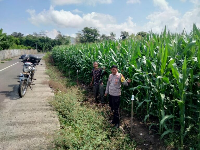 WhatsApp Image 2025-11-17 at 19.11.40