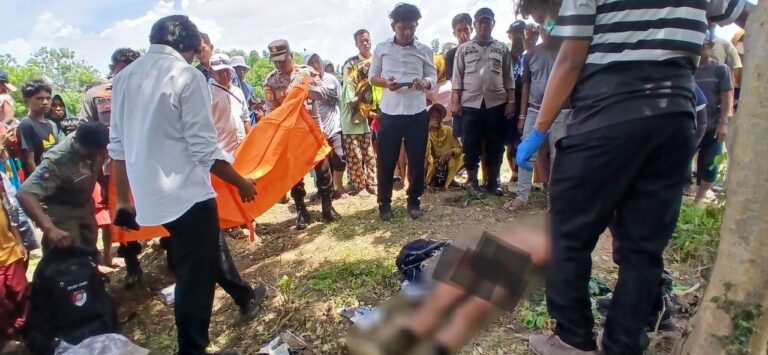 WhatsApp Image 2025-11-17 at 6.21.32 PM