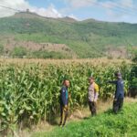 WhatsApp Image 2025-11-22 at 23.04.40 (1)