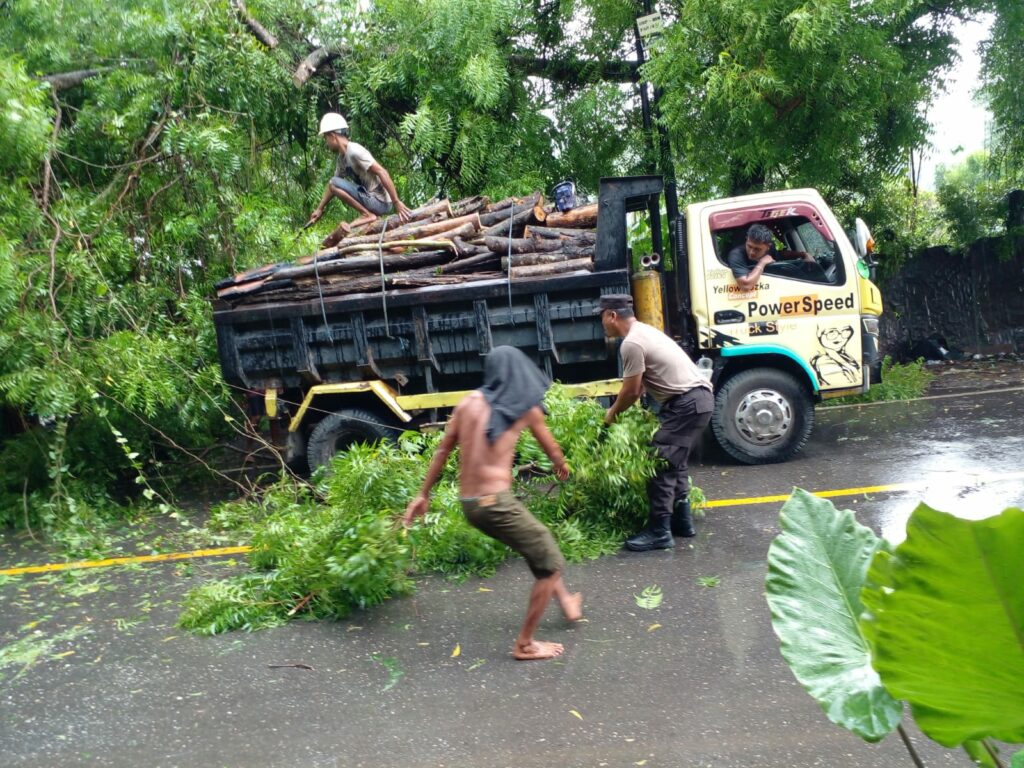 WhatsApp Image 2025-11-26 at 21.41.48 (1)