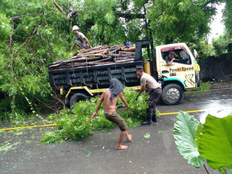 WhatsApp Image 2025-11-26 at 21.41.48 (1)