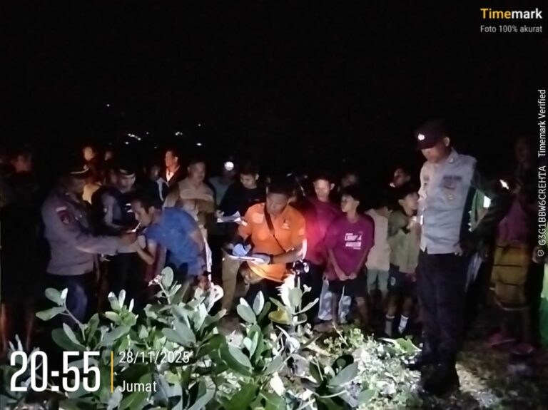 WhatsApp Image 2025-11-29 at 01.02.35