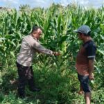 WhatsApp Image 2025-11-29 at 14.32.30_f1488060