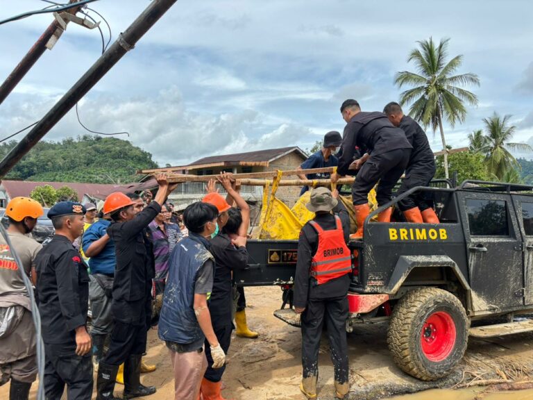 WhatsApp Image 2025-11-29 at 18.40.22