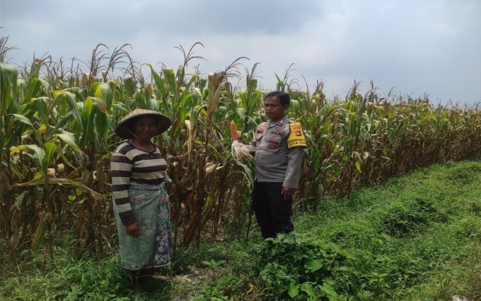 WhatsApp Image 2025-11-30 at 13.44.56_57ac64e1