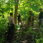 a31f07f5-0b9a-49b1-bfff-87aa2f1e3977