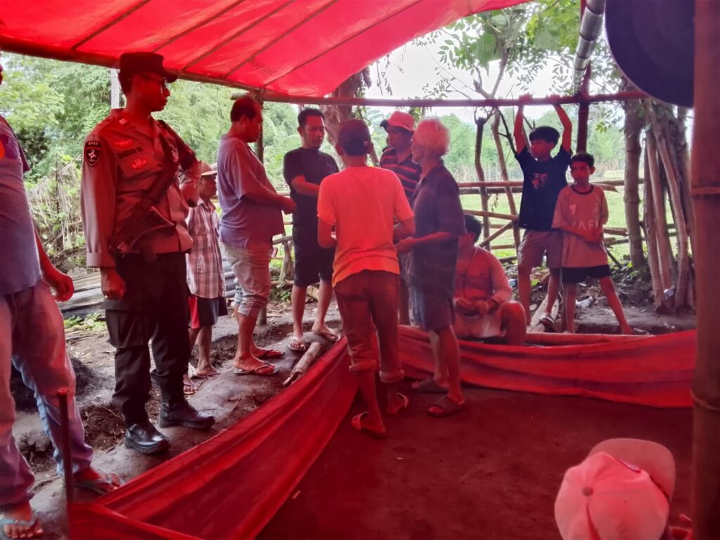 ad8df5e1-ab5b-466f-b179-d7ea9445bf3e