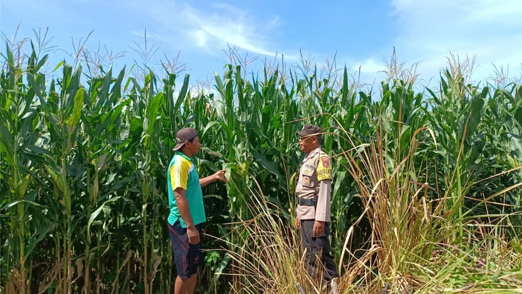 c9ff3138-53d0-4943-9879-7b83cb0f3c79