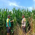 c9ff3138-53d0-4943-9879-7b83cb0f3c79