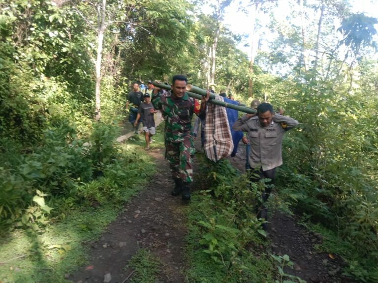 f86b2e0c-862b-4401-aec9-f625c57b270c