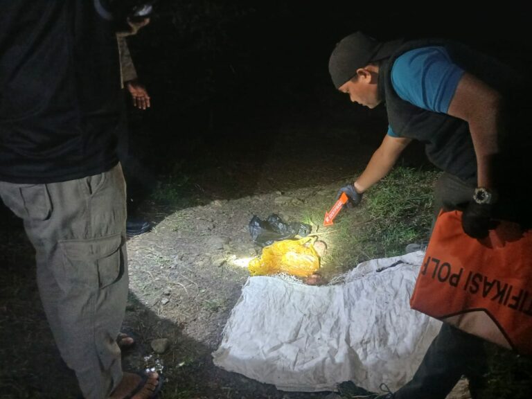 09ec8588-ab68-4a7f-a30c-b518e3654b32