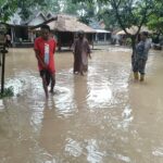 42d84654-b6f9-4d54-81a2-97073fecf594