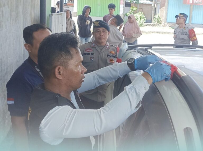 WhatsApp Image 2025-12-02 at 08.36.20