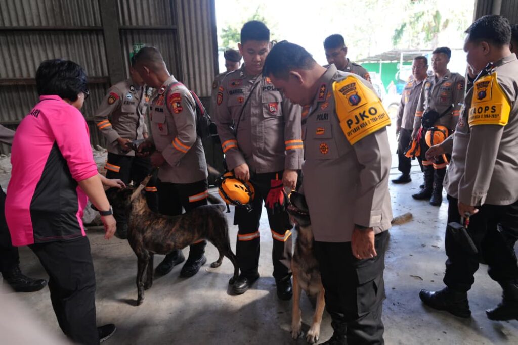 WhatsApp Image 2025-12-02 at 16.17.12