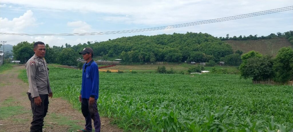 WhatsApp Image 2025-12-04 at 23.08.21