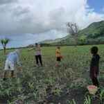 WhatsApp Image 2025-12-08 at 21.25.19