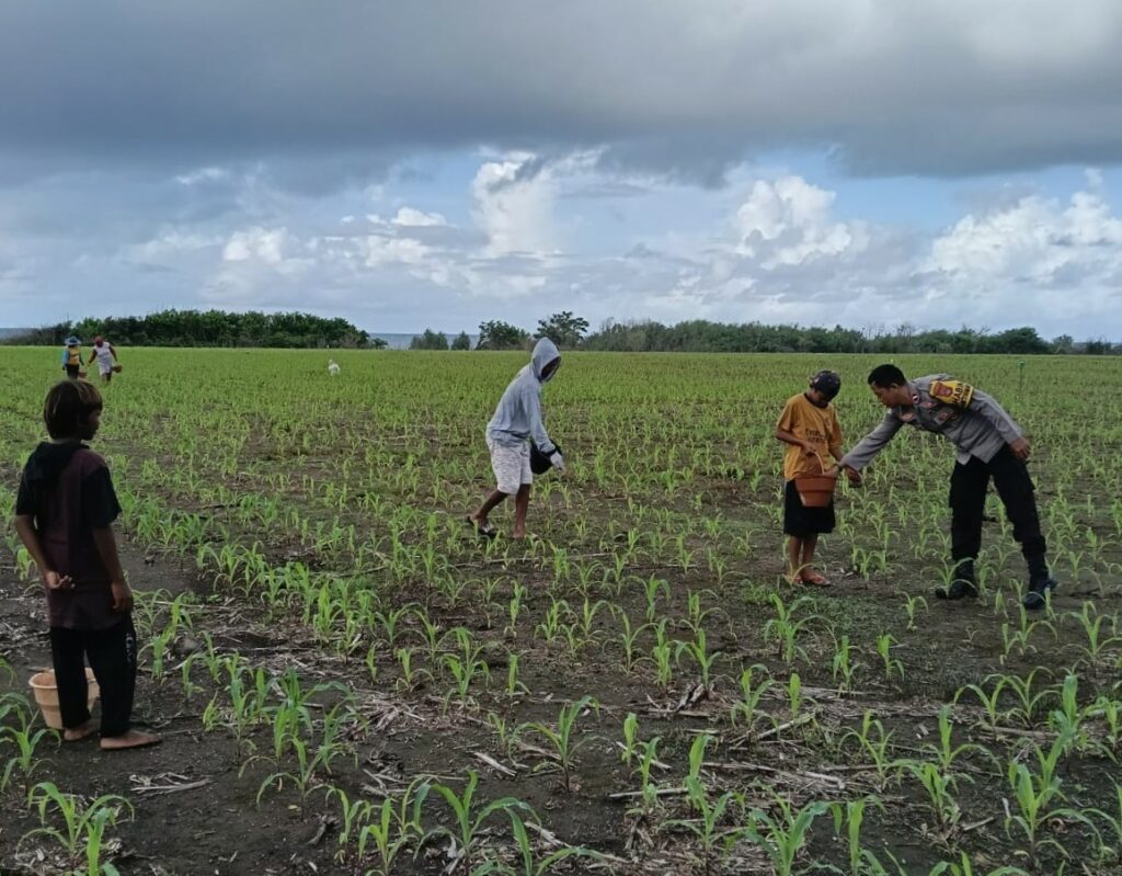 WhatsApp Image 2025-12-08 at 21.25.19