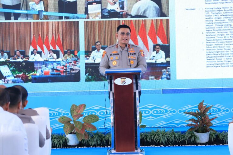 WhatsApp Image 2025-12-09 at 17.32.02