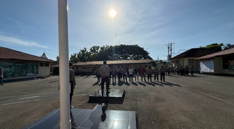 WhatsApp Image 2025-12-12 at 15.36.28