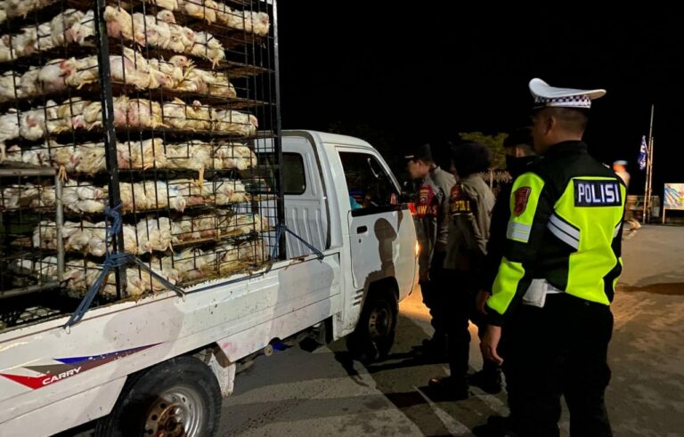 WhatsApp Image 2025-12-13 at 09.07.45