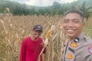 Polres Lombok Barat Aktif Dampingi Petani Tingkatkan Ketahanan Pangan
