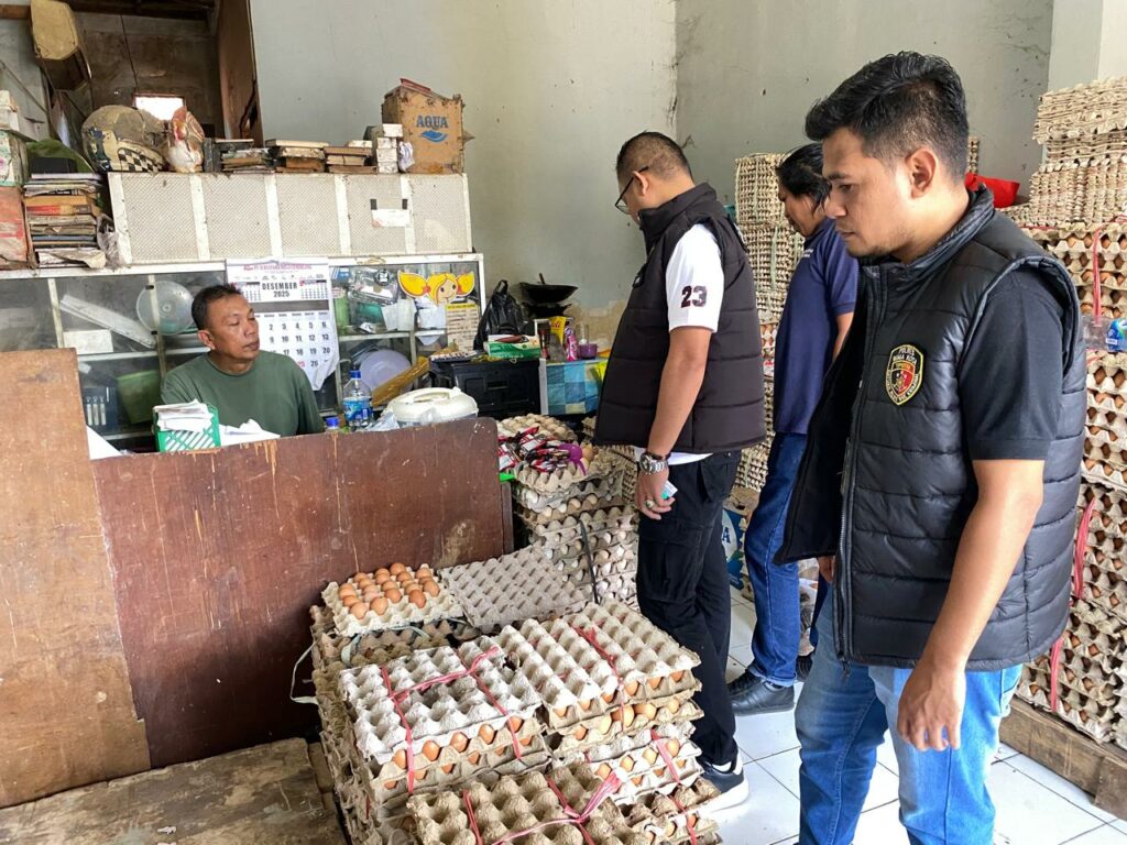 WhatsApp Image 2025-12-25 at 14.12.56 (1)